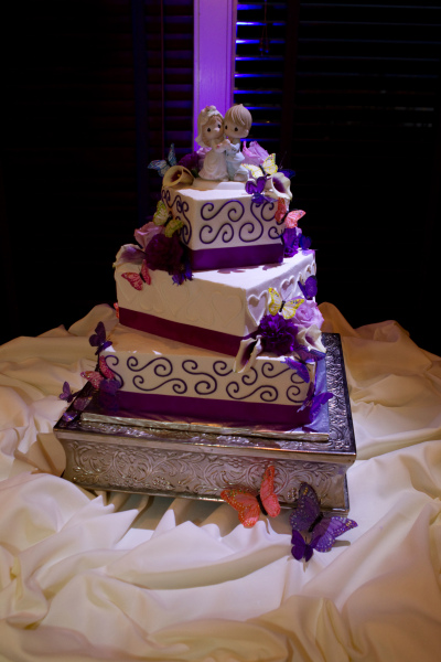 DarrylBushWeddings051