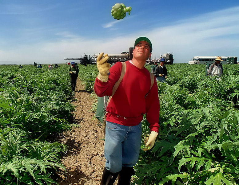 Harvest